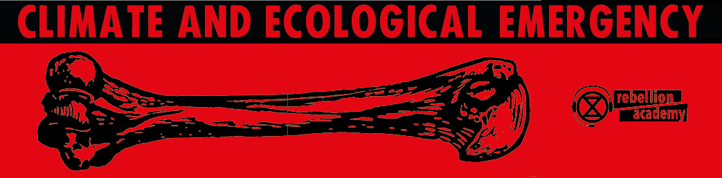 Climate and ecological emergency