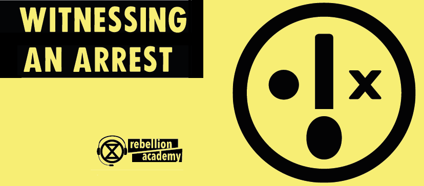 Witnessing an arrest